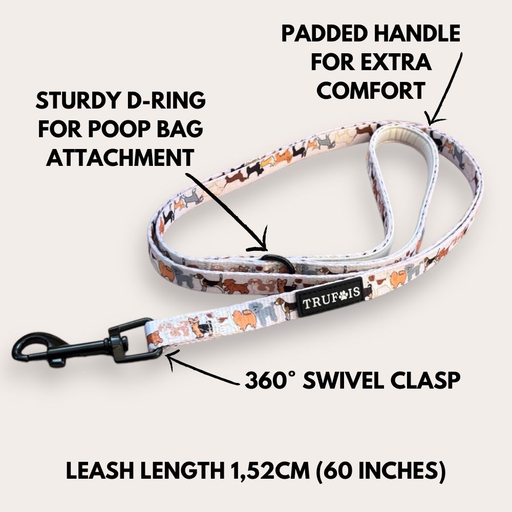 Leash - 101 tails