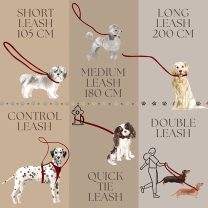 Multifunctional Teddy Leash for dogs. Monitoiminen Teddy-koiranhihna